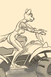  2:3 anthro biker bodily_fluids canid canine dany-j dirt_bike female fox genital_fluids hi_res mammal racer solo urine watersports 