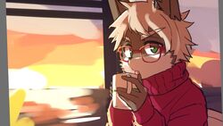  anthro canid canine container cup eyewear glasses kemono male mammal manadezimon solo sunset 