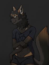  absurd_res anthro belly black_bottomwear black_clothing black_hair black_nose blue_clothing blue_shirt blue_topwear bottomwear boxers_(clothing) brown_body brown_ears canid canine closed_smile clothed clothed_anthro clothed_male clothing cute_fangs fox fully_clothed fully_clothed_anthro fully_clothed_male grey_body hair hi_res kyjaanka looking_at_viewer male mammal midriff mouth_closed multicolored_body navel portrait raised_tail shirt simple_background smile smiling_at_viewer solo tail three-quarter_portrait topwear underwear 