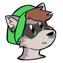  1:1 anthro brown_hair deertori ear_piercing ear_ring facial_piercing fur gauged_ear green_eyes grey_body grey_fur hair lip_piercing male mammal nose_piercing piercing procyonid raccoon ring_piercing simple_background solo toony toque white_background 