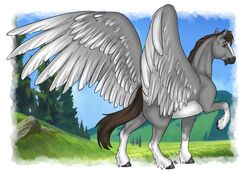  ass brown_eyes brown_hair dallas_prairiewind detailed_background equid equine feathered_wings feathers feral grey_body hair hooves looking_at_viewer looking_back male mammal markings mythological_creature mythological_equine mythology pegasus rear_view smile solo tabascocat white_markings wings 