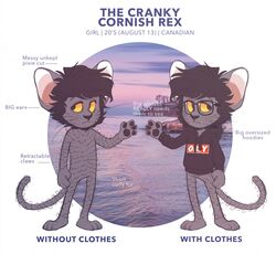  2016 3_toes 4_fingers anthro barefoot biped black_clothing black_hair black_nose black_pawpads black_topwear bottomless character_name claws clothed clothing cornish_rex cranky_(retrolicious) digital_media_(artwork) domestic_cat english_text eyewear featureless_crotch feet felid feline felis female fingers flat_chested front_view frown full-length_portrait fur glasses grey_body grey_fur hair half-closed_eyes hoodie long_tail looking_away mammal messy_hair model_sheet multiple_poses narrowed_eyes nude outside pawpads paws photo_background photography_(artwork) portrait pose retrolicious rex_(cat) shaded short_hair simple_background soft_shading solo standing sunset tail text toes tomboy toony topwear water whiskers white_background yellow_eyes yellow_sclera 