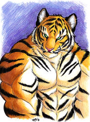  2010 abs anthro biceps big_muscles biped black_body black_fur blue_background bust_portrait clothed clothing felid fur green_eyes looking_at_viewer male mammal multicolored_body multicolored_fur muscular muscular_anthro muscular_male orange_body orange_fur pantherine pecs pink_nose portrait simple_background solo standing striped_body striped_fur stripes tiger topless traditional_media_(artwork) wfa whiskers white_body white_fur 