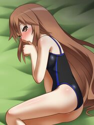  awa brown_eyes brown_hair female ookami-san ookami_ryouko swimsuit 