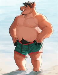  absurd_res anthro beach bodily_fluids body_hair clothing happy_trail hi_res lhjal2 male mammal musclegut muscular solo suid suina sus_(pig) sweat swimming_trunks swimwear tusks 