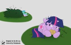  2015 absurd_res bri-sta cookie cutie_mark duo equid equine female food friendship_is_magic fur grass hair hasbro hi_res horn mammal multicolored_hair my_little_pony mythological_creature mythological_equine mythology plant princess_celestia_(mlp) purple_body purple_eyes purple_fur purple_hair shrub twilight_sparkle_(mlp) two_tone_hair unicorn wodahseht 