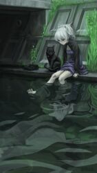  barefoot black_cat commentary_request darker_than_black dress feline female grass highres koubakotone long_sleeves looking_away looking_down mao_(darker_than_black) medium_hair pale_skin ponytail purple_eyes reflection reflective_water serious shoes sitting solo unworn_shoes white_hair yin_(darker_than_black) 