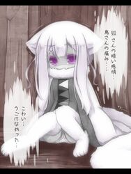  animal_ears commentary_request female long_hair nightmare_cat pixiv_fantasia pixiv_fantasia_fallen_kings purple_eyes solo translation_request white_hair 