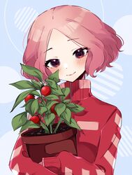  absurdres bad_id bad_twitter_id blush brown_eyes brown_hair closed_mouth commentary emi_star female flower_pot forehead gym_uniform head_tilt highres hug hugging_object jacket lips long_sleeves looking_at_viewer okumura_haru persona persona_5 pink_lips plant potted_plant red_jacket short_hair smile solo symbol-only_commentary tomato track_jacket uniform upper_body 