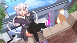  :d animal_ears black_jacket black_legwear black_thighhighs blue_sky bob_cut cat_ears cat_tail claw_pose cuon_(kuon) day dutch_angle feline from_below hair_ornament hairclip highres jacket kawaii_music_(vtuber) looking_at_viewer murasaki_yuki open_mouth outdoors pink_footwear purple_eyes shirt shoes short_hair sky sleeveless sleeveless_shirt smile sneakers soles tail teeth thighhighs upper_teeth_only virtual_youtuber white_hair white_shirt 