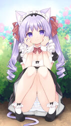  animal_ear_fluff animal_ears bad_id bad_pixiv_id black_dress black_footwear blurry blurry_background bobby_socks bow breasts cat_ears cat_girl cat_tail cleavage closed_mouth commentary_request day depth_of_field dress female flower hairbow hands_up highres knees_together_feet_apart knees_up long_hair looking_at_viewer maid maid_headdress medium_breasts original outdoors panties pigeon-toed puffy_short_sleeves puffy_sleeves purinpurin purple_eyes purple_hair red_bow red_flower red_rose ringlets rose shoes short_sleeves smile socks solo sparkle squatting striped_clothes striped_panties tail twintails underwear very_long_hair white_socks 