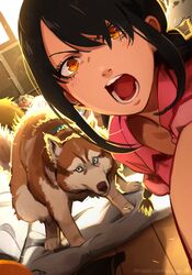  1boy :o absurdres animal animal_collar bed black_hair blush braid breasts canine chainsaw_man cleavage collar denji_(chainsaw_man) english_commentary female highres holding holding_phone indoors khyle. long_hair looking_at_viewer lying mifune_fumiko nayuta_(chainsaw_man) on_side open_mouth orange_eyes orange_hair phone pink_shirt ponytail shirt sunlight teeth tongue web_address wooden_floor 