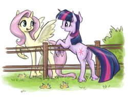  2016 blue_eyes cutie_mark duo equid equine eye_contact eyelashes feathered_wings feathers female fence feral fetlocks fluttershy_(mlp) friendship_is_magic fur grass hair hasbro hooves horn king-kakapo leaning_on_fence long_hair looking_at_another mammal my_little_pony mythological_creature mythological_equine mythology open_mouth outside pegasus pink_hair pink_tail plant purple_body purple_eyes purple_fur shrub simple_background tail twilight_sparkle_(mlp) unicorn white_background wings wood wood_fence yellow_body yellow_fur 
