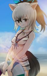  aardwolf_(kemono_friends) aardwolf_print absurdres animal_ears animal_print bad_id bad_nicoseiga_id bare_arms bare_shoulders beach bead_necklace beads bikini bikini_shorts black_hair blue_sky bow closed_mouth commentary_request cowboy_shot day female front-tie_bikini_top front-tie_top grey_hair grey_legwear hair_between_eyes hairbow high_ponytail highres holding innertube jewelry kemono_friends kemono_friends_festival long_hair looking_at_viewer multicolored_hair navel necklace ocean outdoors ponytail print_bikini print_shorts sand sasahara_(nicoseiga) shell shell_necklace shorts sky smile solo standing stomach swim_ring swimsuit tail two-tone_hair water 