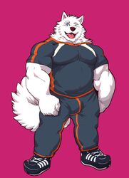  2018 5_fingers alternate_version_at_source anthro biceps blue_eyes bulge canid canine canis clothed clothing domestic_dog fingers front_view fully_clothed fur godan_(istani) hi_res istani looking_at_viewer male mammal muscular muscular_anthro muscular_male nordic_sled_dog one_eye_closed open_mouth pecs pink_background samoyed simple_background solo spitz standing white_body white_fur 