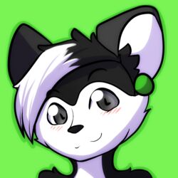  1:1 2017 anthro ayken black_body black_eyebrows black_fur black_hair black_nose blush digital_media_(artwork) ear_piercing eyebrows fur green_background grey_eyes hair headshot_portrait icon indorak looking_at_viewer male mammal mephitid multicolored_body multicolored_fur multicolored_hair piercing portrait simple_background skunk smile solo two_tone_body two_tone_fur two_tone_hair white_body white_fur white_hair 