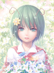  antennae cape commentary_request female flower green_eyes green_hair hair_flower hair_ornament lips photoshop_(medium) realistic short_hair solo touhou upper_body wriggle_nightbug zhenlin 