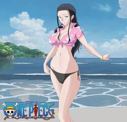  alone beach bikini black_hair blue_eyes breasts cleavage clouds female female island large_breasts long_hair navel nico_robin one_piece sea sky solo stomach thighs 