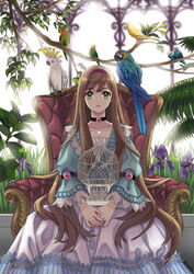  armchair bird birdcage blue-and-yellow_macaw blue_dress branch briska brown_hair budgerigar_(bird) cage canary chair choker cockatoo collarbone commentary_request doll_joints dress female flower frilled_dress frills grass green_eyes greenhouse hairband iris_(flower) joints korean_commentary long_hair lovebird macaw original parakeet parrot photoshop_(medium) plant sitting solo sulphur-crested_cockatoo sunlight swept_bangs very_long_hair 