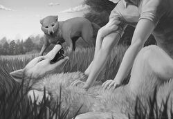  2021 ambiguous_gender belly_rub canid canine canis clothed clothing cloud day detailed_background fangs feral fluffy forest grass greyscale group human ipoke mammal monochrome open_mouth outside plant sky teeth tree trio whiskers wolf 