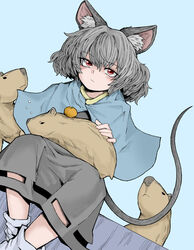  animal_ears animal_on_lap ankle_socks blue_background capelet capybara closed_mouth crossed_ankles dress dutch_angle expressionless fe_(tetsu) female food fruit grey_capelet grey_dress grey_hair grey_skirt grey_tail hair_between_eyes hand_on_animal highres looking_at_viewer loose_socks mouse_ears mouse_girl mouse_tail nazrin on_lap orange_(fruit) red_eyes shoes short_hair simple_background sitting skirt skirt_cutout sleeping_animal socks solo tail touhou white_socks 