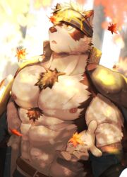  1boy :o abs absurdres ainu_clothes animal_ears autumn_leaves bara bare_pectorals belt chest_hair commentary_request crow_(siranui) furry furry_male grey_fur grey_hair headband highres horkeu_kamui jacket jacket_on_shoulders large_pectorals leaf leaf_on_head male_focus maple_leaf multicolored_hair muscular muscular_male navel nipples pectorals scar scar_on_chest short_hair solo stomach sunlight tail tokyo_afterschool_summoners two-tone_fur two-tone_hair upper_body white_fur wolf_boy wolf_ears wolf_tail yellow_eyes 