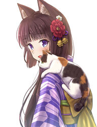  animal animal_ear_fluff animal_ears animal_on_shoulder bell blue_eyes blush brown_hair cat_ears commentary feline female flower green_eyes hair_bell hair_flower hair_ornament highres iroha_(iroha_matsurika) japanese_clothes jingle_bell kimono long_hair looking_at_viewer looking_to_the_side mutsuki_(iroha_(iroha_matsurika)) obi open_mouth original print_kimono purple_kimono red_flower sash simple_background solo upper_body white_background white_flower yagasuri 