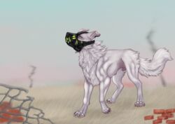  3d_(artwork) animal_genitalia boosty brick canid canine canis claws digital_media_(artwork) domestic_dog feral full-length_portrait fur gas_mask genitals hi_res male mammal mask pastel_theme portrait post-apocalyptic sheath sky smoke solo white_body white_fur zhekathewolf 