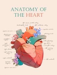  anatomy arrow_(symbol) beige_background blood_vessels blue_flower bud english_text flower forget-me-not_(flower) heart_(organ) highres jauni_(tofublock) latin_text leaf lilac lily_of_the_valley no_humans original pink_flower plant purple_flower sidelighting simple_background veins wax_flower white_flower 