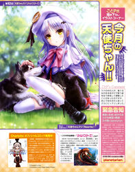  :o absurdres angel_beats! bat_hair_ornament belka beret blurry blush boots bow canine cape charlotte_(anime) company_connection cosplay cross-laced_footwear depth_of_field female goto_p grass grey_hair hair_ornament hat highres key_(company) little_busters! little_busters!_school_uniform long_hair natsume_rin noumi_kudryavka noumi_kudryavka_(cosplay) on_ground otosaka_yuu plaid plaid_skirt pleated_skirt school_uniform sitting skirt strelka sunlight tachibana_kanade thighhighs tomori_nao tongue tongue_out tree white_legwear yellow_eyes 