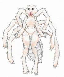  2018 2_toes 3_fingers anthro arachnid arthropod arthropod_abdomen beady_eyes biped black_eyes breasts brown_body brown_exoskeleton brown_fur camel_spider chelicerae claws exoskeleton featureless_breasts featureless_crotch feet female fingers foxydraws front_view full-length_portrait fur graphite_(artwork) hi_res knock-kneed medium_breasts mixed_media multicolored_body multicolored_fur non-mammal_breasts nude pen_(artwork) pencil_(artwork) portrait simple_background solo standing toe_claws toes traditional_media_(artwork) two_tone_body two_tone_fur white_background white_body white_fur 