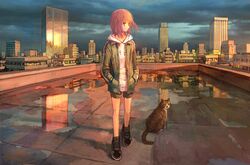  black_footwear cityscape commentary feline female hands_in_pockets highres hood hoodie looking_to_the_side orange_hair original outdoors reflection rooftop scenery shoes short_hair short_shorts shorts sneakers sunset tokunaga_akimasa wet_ground 