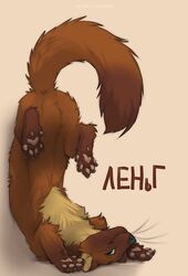  5_toes ambiguous_gender anus barely_visible_anus brown_body brown_fur claws feet feral fur gulonine koul mammal marten mustelid musteline pawpads paws pine_marten pink_pawpads russian_text shoulder_stand smile soles solo tail text toes translated whiskers x_anus 