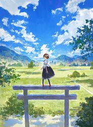  black_pantyhose black_ribbon black_skirt blush brown_hair cloud cloudy_sky commentary day faux_traditional_media female fjsmu from_behind grasslands hat highres looking_at_viewer looking_back meadow mountainous_horizon nature neck_ribbon no_lineart outdoors pantyhose pom_pom_(clothes) puffy_short_sleeves puffy_sleeves red_eyes red_footwear red_hat reflection ribbon scenery shameimaru_aya shirt shoes short_hair short_sleeves skirt sky solo standing_on_torii stone_torii tokin_hat torii touhou tree water white_shirt wide_shot 