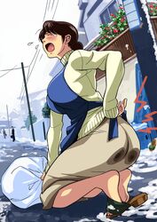  apron ass bag blush breasts brown_hair cirima closed_eyes curvy feet female hair_bun hands hikaru_no_go hips housewife huge_ass hurt injury kneeling large_breasts long_sleeves milf mother open_mouth outdoors outside pain shindou_mitsuko skirt slippers snow sweater teardrop tears turtleneck volvox winter 