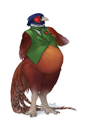  2019 4_toes anisodactyl anthro avian beak belly big_belly bird blue_body blue_feathers bottomless brown_body brown_feathers clothed clothing common_pheasant dated digital_media_(artwork) faisan_(foxcall) feathers featureless_crotch feet full-length_portrait galliform green_clothing green_topwear green_vest grey_beak kuroi-kisin male multicolored_body multicolored_feathers overweight overweight_anthro overweight_male phasianid phasianus portrait potbelly red_body red_feathers shaded shadow signature simple_background solo standing tail tail_feathers tan_body tan_feathers thick_thighs toes topwear vest white_background wide_hips 