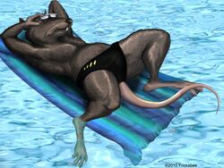  2010 4:3 anthro biped black_clothing black_speedo black_swimwear bulge clothed clothing detailed_background digital_media_(artwork) eyewear floating frickabee glasses inflatable looking_at_viewer lying male mammal master_splinter murid murine on_back rat rodent shaded skimpy solo speedo swimming_pool swimwear teenage_mutant_ninja_turtles teenage_mutant_ninja_turtles_(1987) third-party_edit topless water 