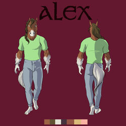  1:1 absurd_res alex_(thorsoneyja) anthro athletic athletic_anthro athletic_male bottomwear brown_body brown_eyes brown_fur brown_hair clothing clydesdale color_scheme color_swatch dbruin denim denim_bottomwear denim_clothing draft_horse equid equine feathering fur hair hi_res horse jeans looking_at_viewer male mammal model_sheet pants pose shirt solo text topwear white_body white_fur 