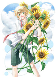  1boy blonde_hair checkered_pants commentary_request flower green_eyes loose_clothes loose_shirt male_focus necktie open_mouth oz_vessalius pandora_hearts piyo_(hitujirou-tuusin) shirt shorts smile solo sunflower undone_necktie white_shirt 