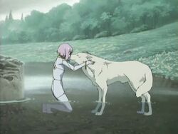 4:3 canid canine canis caressing cheza_(wolf&#039;s_rain) closed_eyes colored detailed_background duo embrace female feral forest fur hug kiba_(wolf&#039;s_rain) mammal nature outside plant pond screencap smile tree unknown_artist water white_body white_fur wolf wolf&#039;s_rain wood