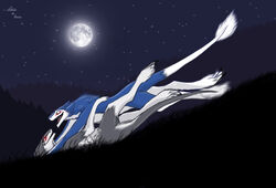 anthro detailed_background duo female full_moon male mammal markus_(dowantanaccount) moon natalie_(natalie_de_corsair) natalie_de_corsair night nude outside pounce sergal sky star starry_sky tail