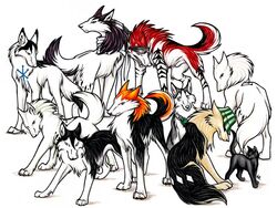 alternate_species bleach_(series) byakuya_kuchiki canid canine canis domestic_cat felid feline felis female feral feralized furrification group hanataro_yamada ichigo_kurosaki ishida_uryuu juushirou_ukitake kisuke_urahara kuchiki_rukia male mammal quadruped renji_abarai tail toshiro_hitsugaya wild_spirit_wolf wolf yoruichi_shihoin