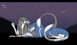 blue_body blue_fur detailed_background duo female feral fur glowing glowing_eyes grey_body grey_fur male mammal markus_(dowantanaccount) natalie_(natalie_de_corsair) natalie_de_corsair night outside red_eyes sergal shooting_star sky smile star starry_sky tail yellow_eyes