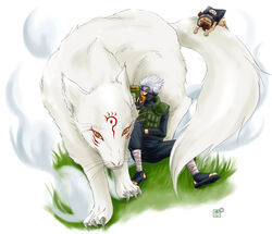 3_toes book bottomless bottomwear canid canine canis claws clothed clothing crossover facial_markings feet feral forehead_protector fox front_view fully_clothed fur grass group hair head_markings holding_book holding_object kakashi_hatake leg_wraps looking_at_viewer madara_(natsume_yuujinchou) male mammal markings mask naruto natsume&#039;s_book_of_friends nude orange_eyes outside pakkun pants plant quadruped short_hair simple_background sitting size_difference smaller_male tail takashi_natsume toes unknown_artist white_background white_body white_fur white_hair wolf wraps