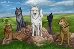 2003 akela_taka black_body black_fur blue_(wolf&#039;s_rain) brown_body brown_fur canid canine canis cloud collar feral fur grey_body grey_fur group hige_(wolf&#039;s_rain) kiba_(wolf&#039;s_rain) male mammal outside sky tail tan_body tan_fur toboe_(wolf&#039;s_rain) tsume_(wolf&#039;s_rain) white_body white_fur wolf wolf&#039;s_rain yellow_eyes