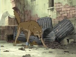 4:3 bracelet breath canid canine canis city colored feral jewelry male mammal outside panting raised_tail screencap solo tail toboe_(wolf&#039;s_rain) unknown_artist wolf wolf&#039;s_rain yellow_eyes