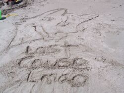 4:3 ambiguous_gender anthro beach canid canine english_text grandfathered_content headshot_portrait hi_res line_art lostcauselmao mammal outside photography_(artwork) portrait real sand sanddrawing sculpture seaside signature solo text