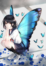  black_hair black_socks blue_butterfly blue_flower blue_sailor_collar blue_skirt breasts bug butterfly female flower head_rest highres kneehighs looking_at_viewer medium_breasts motimoti067 neckerchief original pleated_skirt red_neckerchief sailor_collar school_uniform serafuku short_sleeves skirt socks solo squatting 