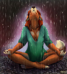 2011 anthro aura biped breasts canid canine canis crosslegged_pose deep_cleavage domestic_dog enlightenment female glowing kappy mammal meditation medium_breasts outside raining singo sitting solo spiritual spirituality tail water wet