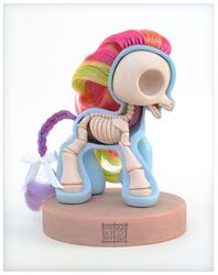 anatomy bone clay clay_(artwork) cross_section dissection equid equine female hasbro horse internal jason_freeny mammal mlp_g3 my_little_pony my_little_pony_(2009) polymer_clay_(artwork) pony pre-g4 rainbow_dash_(g3) sculpture_(artwork) skeleton solo traditional_media_(artwork)